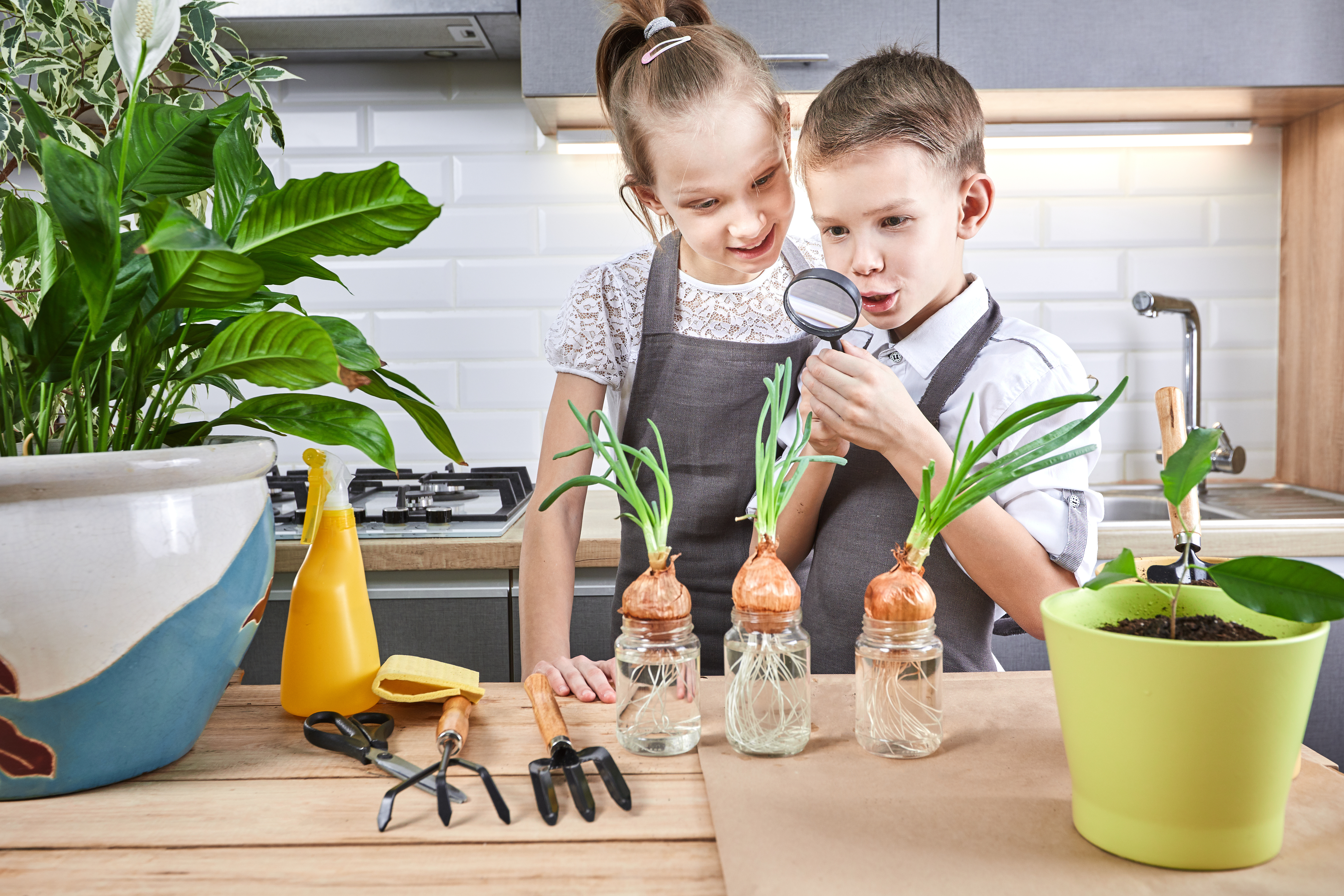 Enfants en train de regarder la pousse de plantes