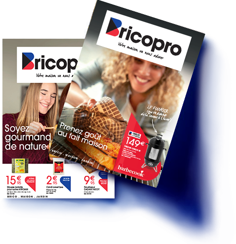 Catalogues Bricopro