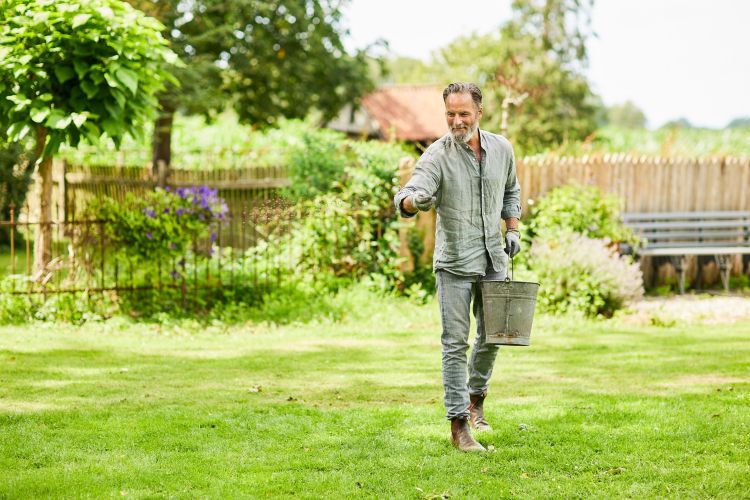 Angrais pour votre jardin à retrouver dans vos magasins Bricopro