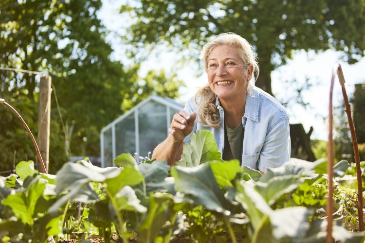 Angrais pour votre jardin à retrouver dans vos magasins Bricopro