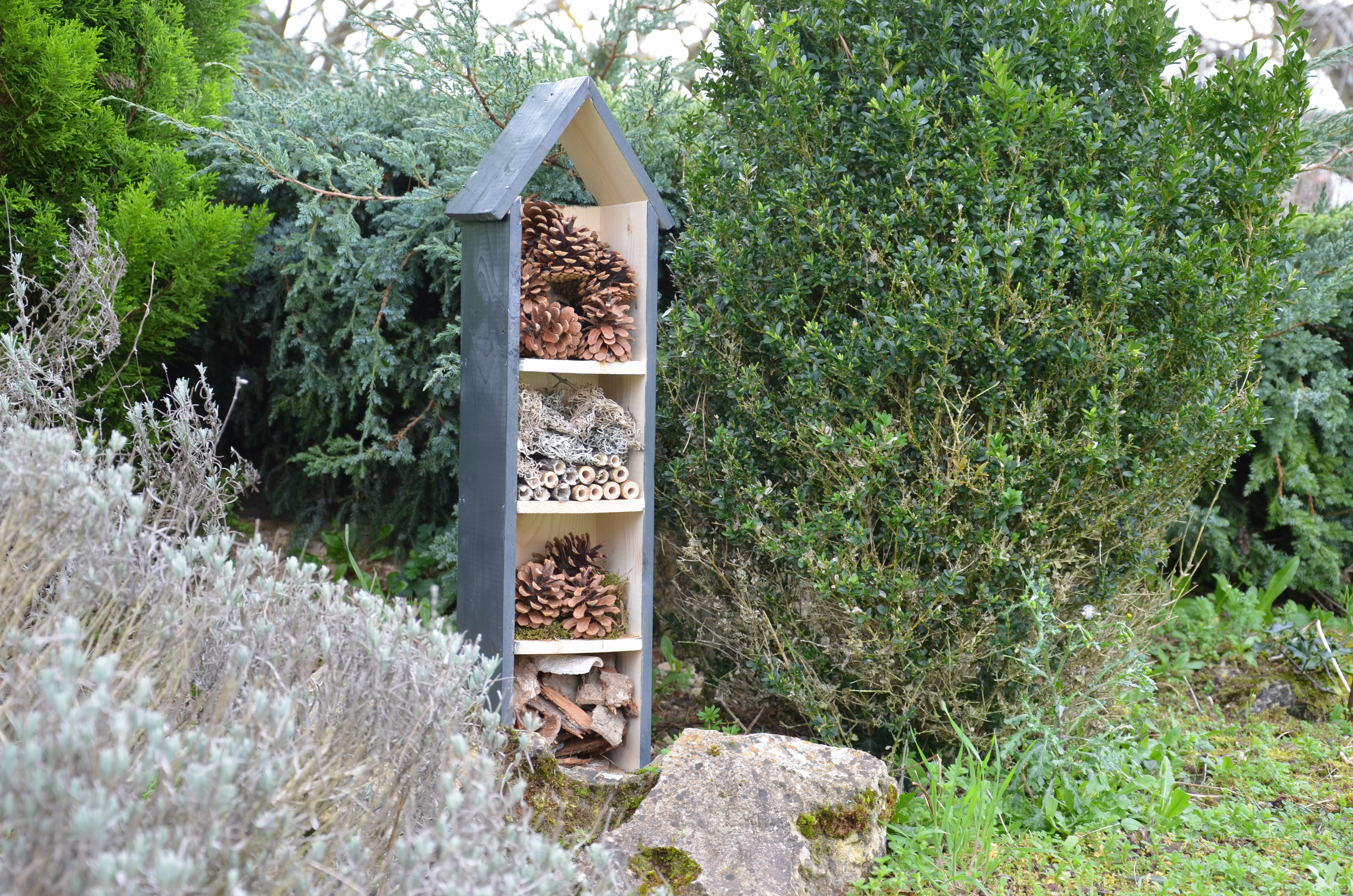 hôtel à insectes DIY Bricopro