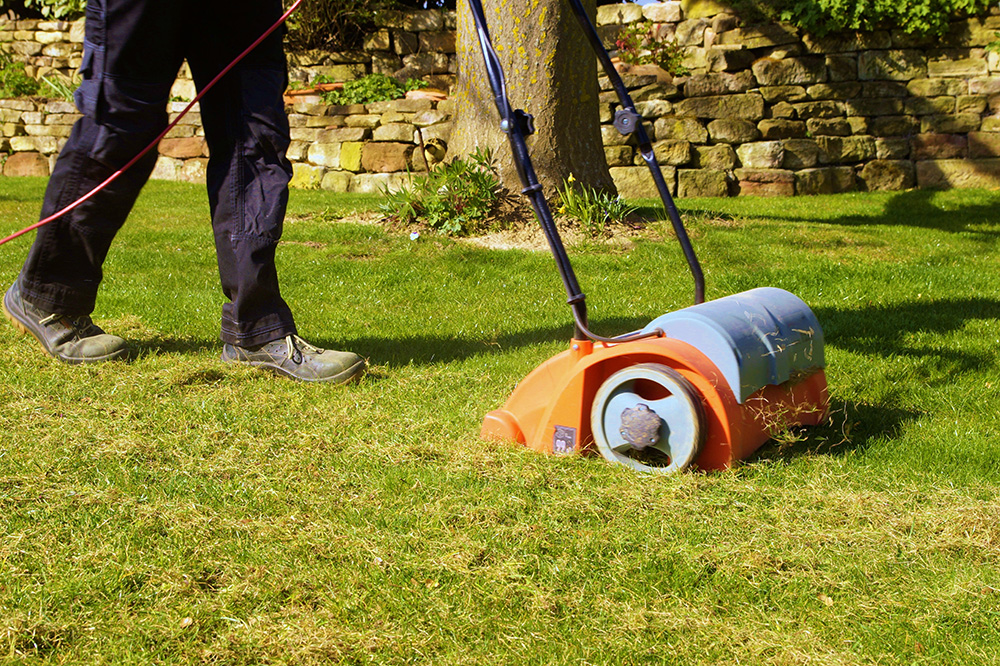 Scarifier sa pelouse