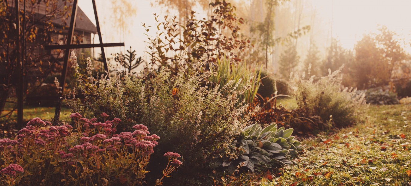 Jardin Automne Hiver Bricopro