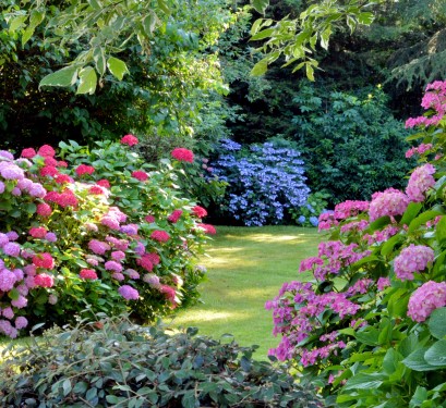 Compo partenaire de Bricopro pour votre jardin