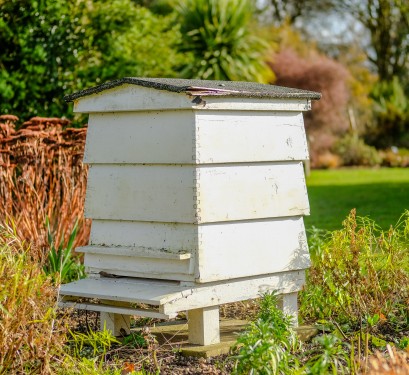 Savoir où placer sa ruche | Bricopro