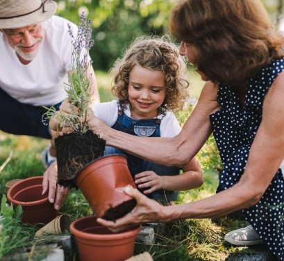 Planter au printemps,  c’est le bon moment !