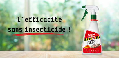 Insecticide BARZERO 500