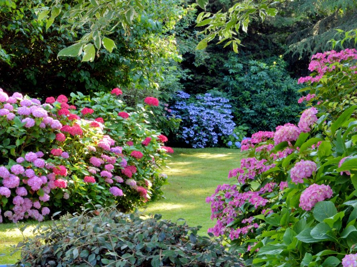 Compo partenaire de Bricopro pour votre jardin