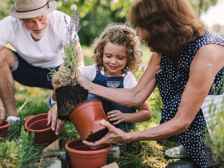 Planter au printemps,  c’est le bon moment !