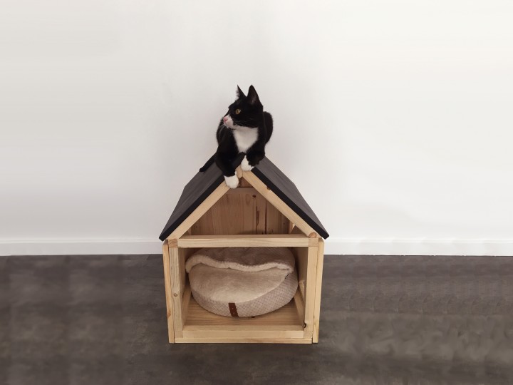 tutoriel Comment créer une cabane pour chat ? | Bricopro