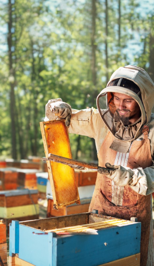 Catalogue apiculture Bricopro