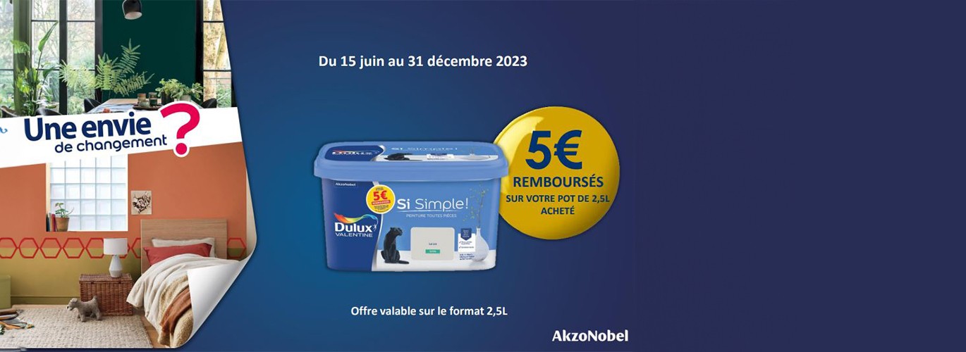 Offre Si Simple - DULUX VALENTINE